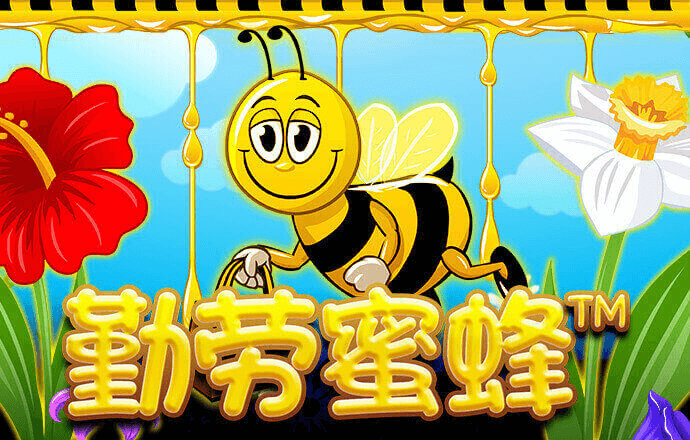 皇冠体彩网站官网下载最新版